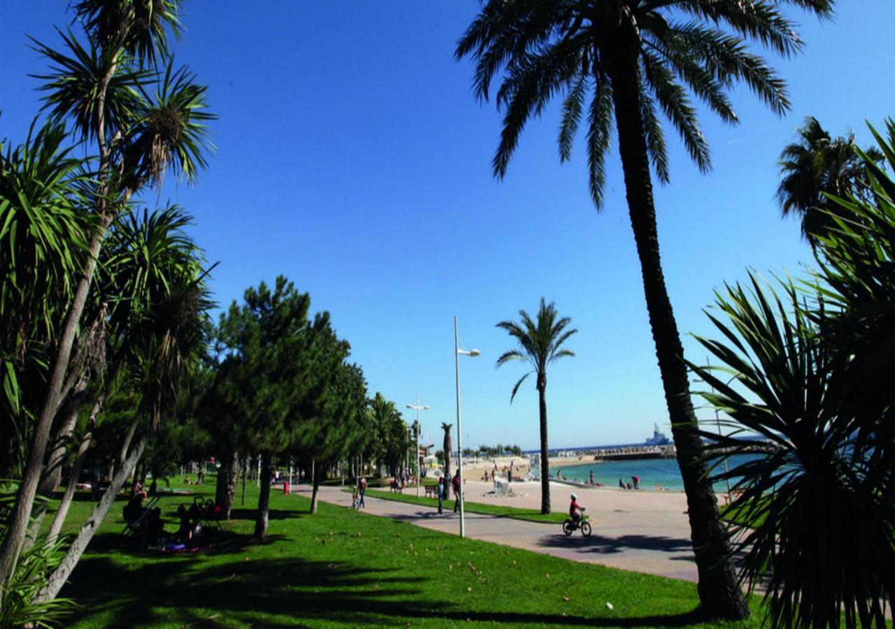 Canopee - Toulon Mourillon - 800M Des Plages Et Place De Parking Prive Εξωτερικό φωτογραφία